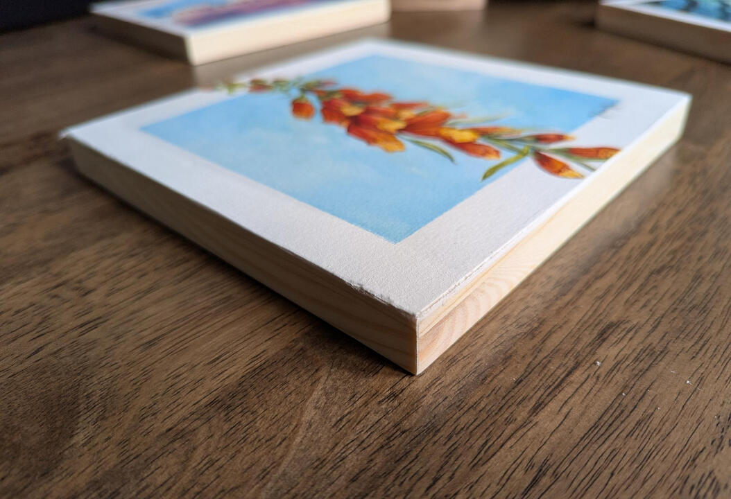 Foxglove in Watercolour (8"x8")