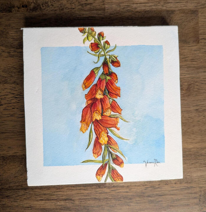 Foxglove in Watercolour (8"x8")