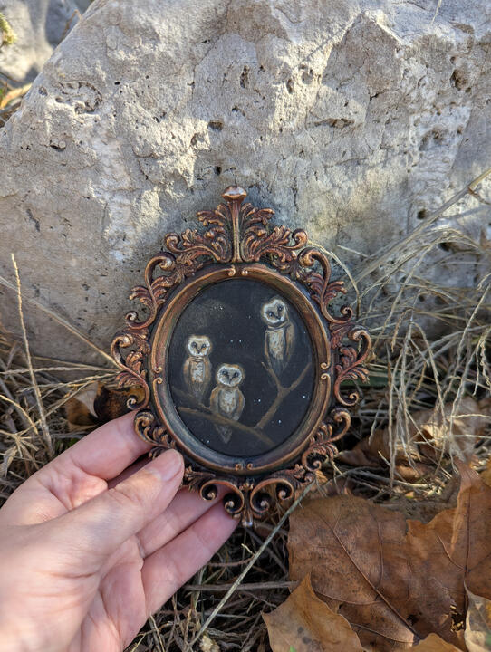 Barn Owls